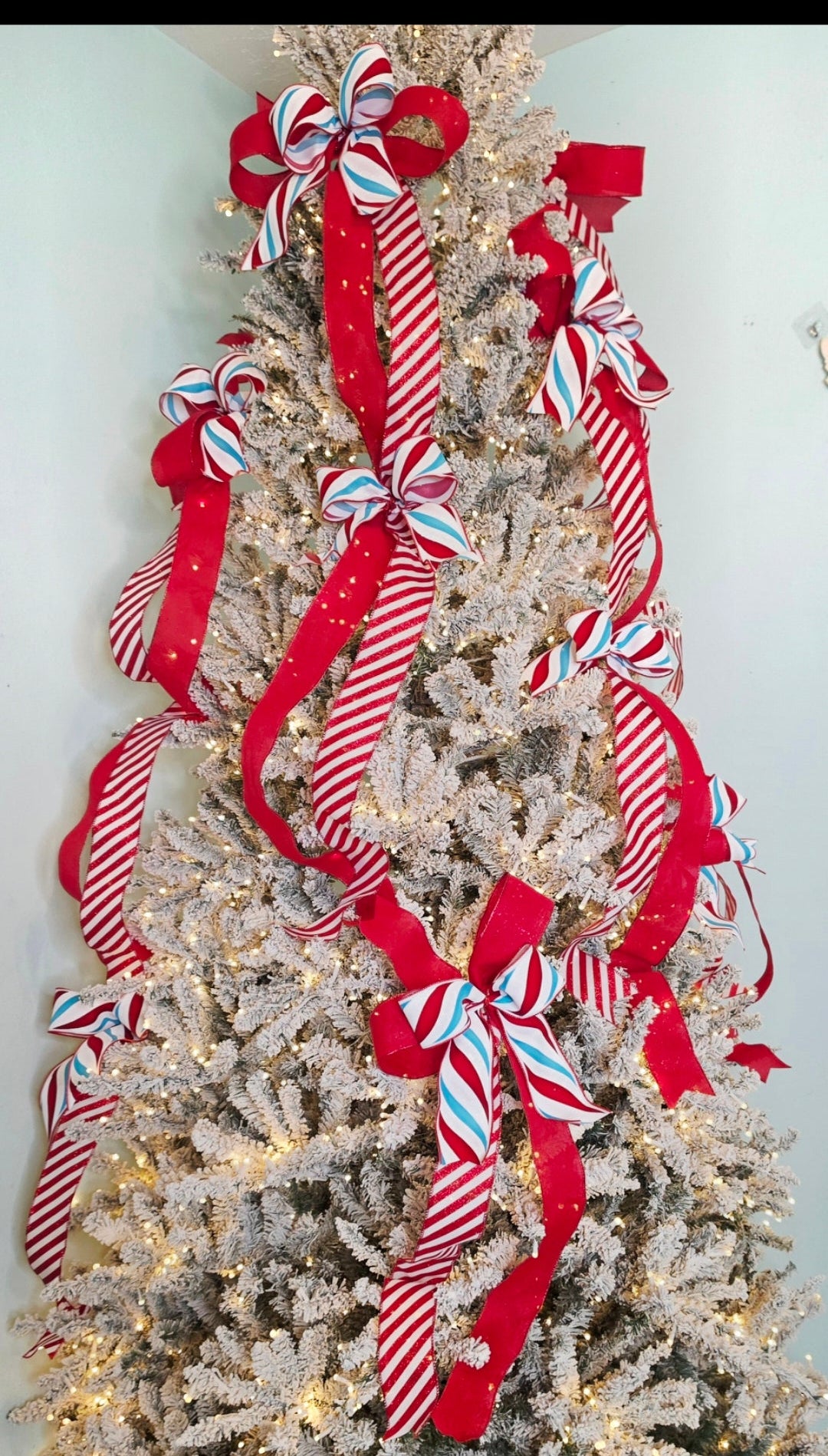 Peppermint Bows & Loops Ribbon Bundle