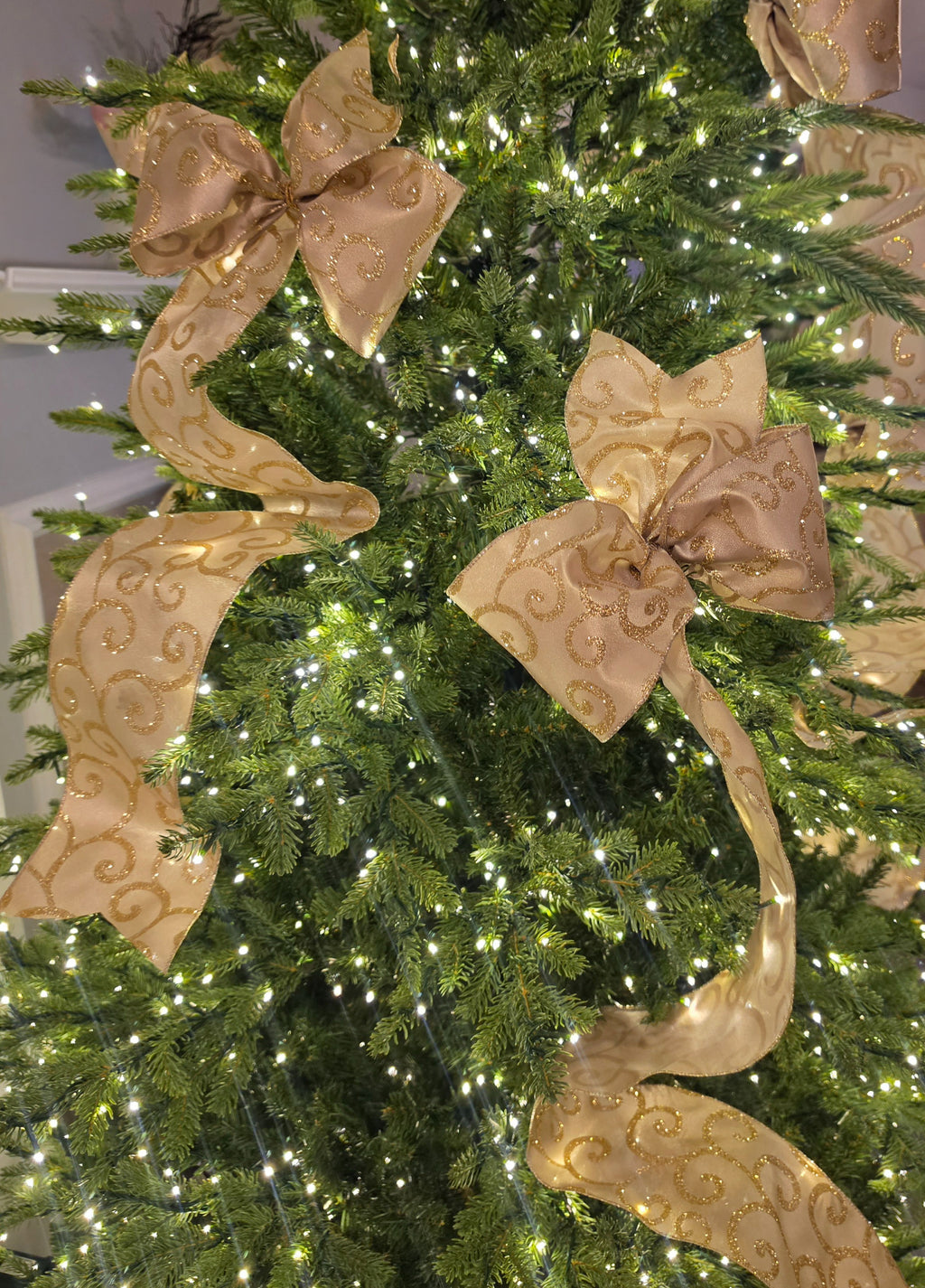 Gold Scroll 5 inch Bows